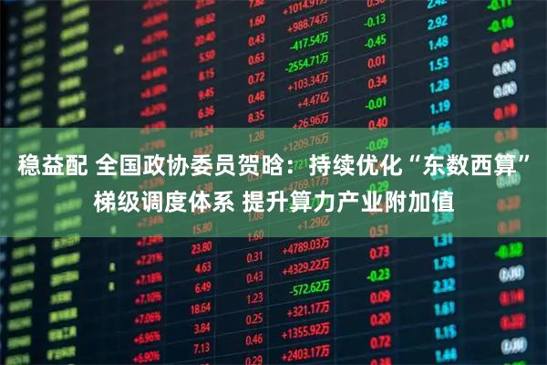 稳益配 全国政协委员贺晗：持续优化“东数西算”梯级调度体系 提升算力产业附加值